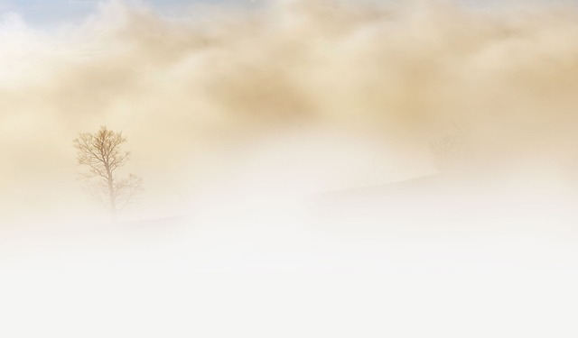 THE DECODE – Ein Magazin, zwei Sprachen. Bild mit einem Baum im Neben, illustriert. KI generiert